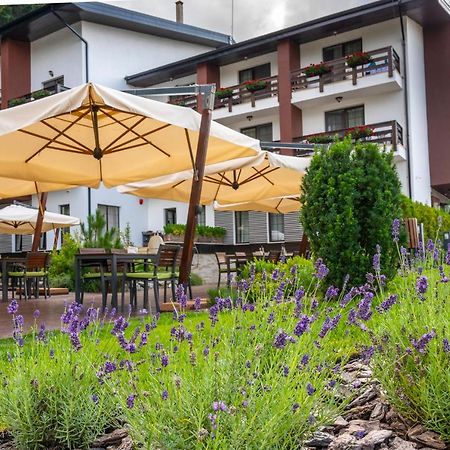 Piatra Pinului Ski & Spa Gura Humorului Ngoại thất bức ảnh